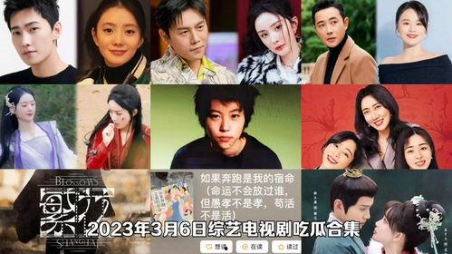 直播爆料吃瓜视频大全最新,吃瓜视频大全，揭秘娱乐圈幕后真相  第3张