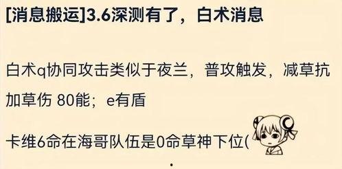 白术最新爆料,揭秘娱乐圈幕后真相  第2张