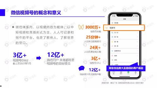 聚龙老师爆料视频下载,深度解析事件背后真相  第3张