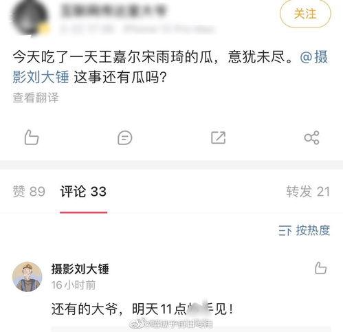 刘大锤爆料小结视频,视频爆料内容精华汇总