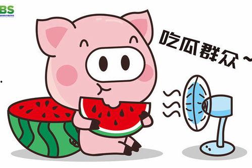 吃瓜学校全集免费,揭秘校园风云,笑料百出的青春岁月 第2张 吃瓜学校全集免费,揭秘校园风云,笑料百出的青春岁月 第2张
